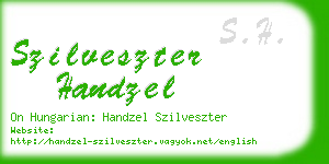 szilveszter handzel business card